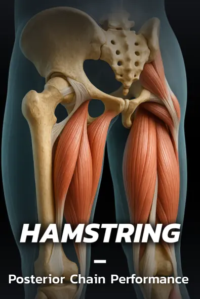 Hamstring durability protocol
