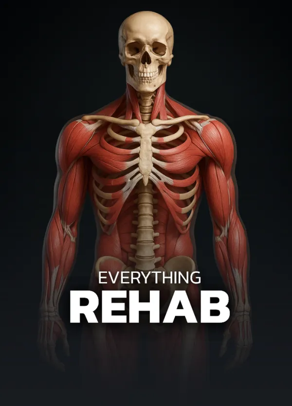 Everything Rehab, full body rugby rehab overview